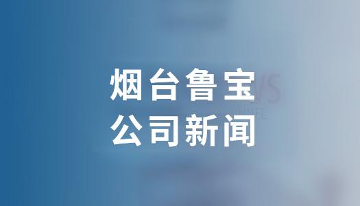 魯寶鋼管順利完成沙特阿美套管復(fù)審